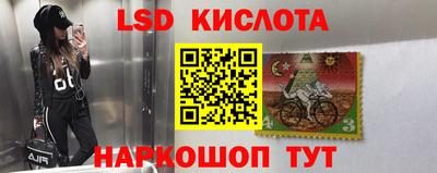 стаф Бузулук