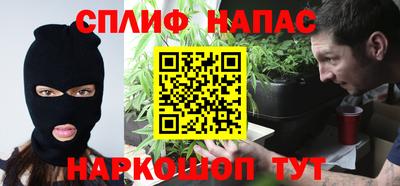 стаф Бузулук