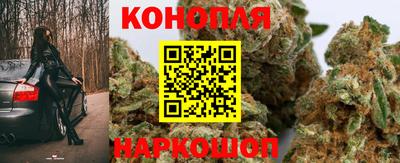 стаф Бузулук